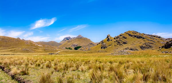 Anuncian un jueves ventoso en el norte provincial, pero con buen tiempo