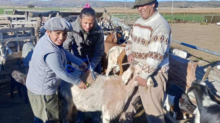 Avanzan los operativos sanitarios en campos del norte provincial