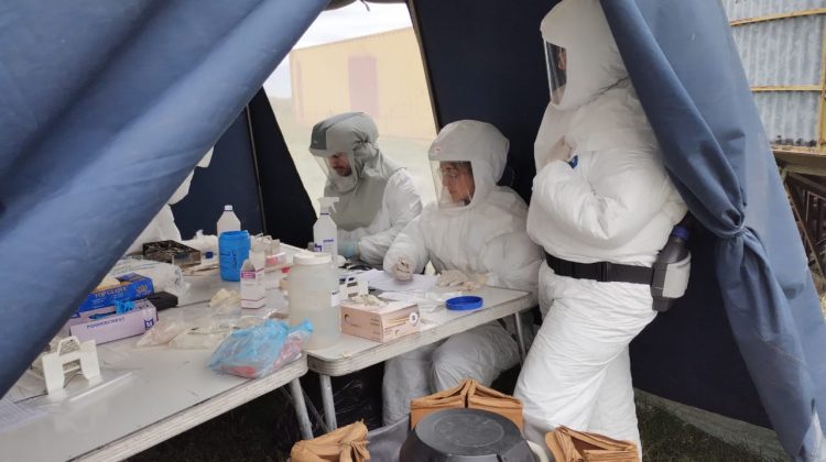 Realizan acciones de prevención de la Fiebre Hemorrágica Argentina