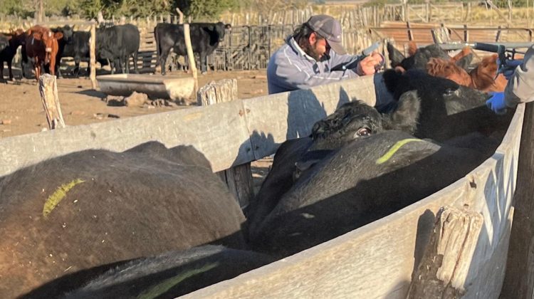 Reforzaron la asistencia sanitaria en Villa del Carmen
