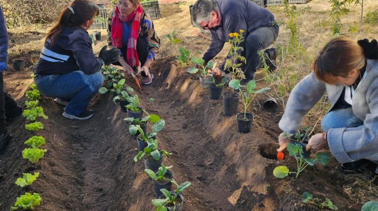 El programa ‘Activá tu Huerta’ llegó al CAPS de Pueblo Nuevo