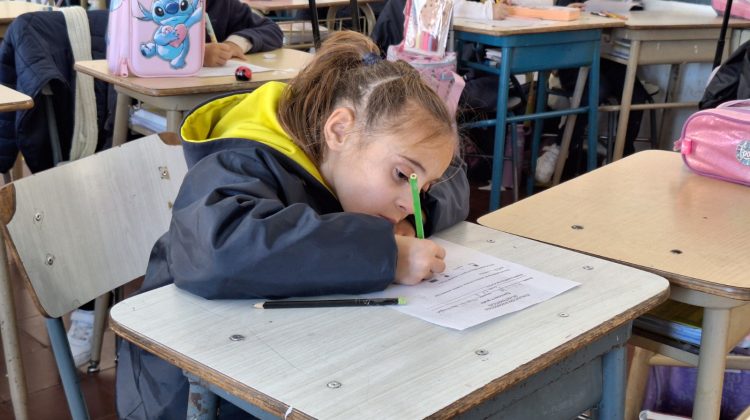 Plan Provincial de Matemática: 1.177 docentes se inscribieron para las capacitaciones