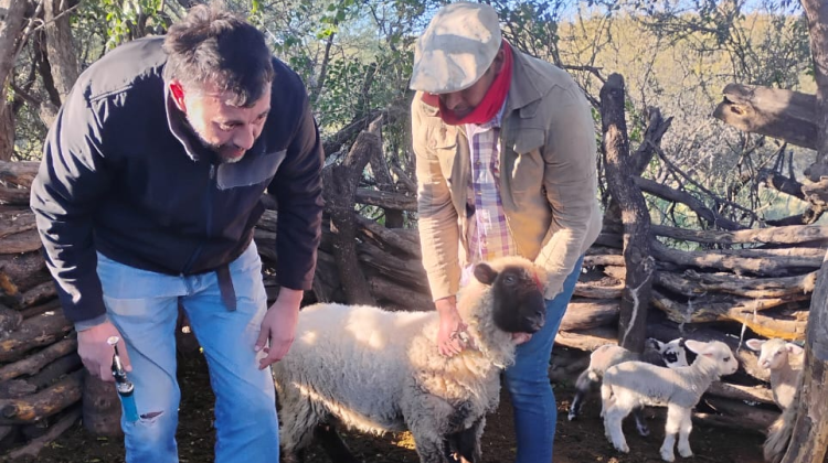 Fortalecen el trabajo rural con asistencia y capacitaciones en Rincón del Carmen