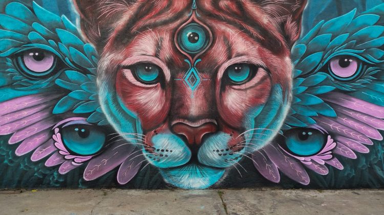 Un mural de Villa Mercedes compite para ser elegido el mejor del mundo