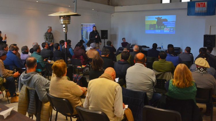 Realizaron un taller sobre resultados reproductivos y factores en la técnica ganadera en Unión