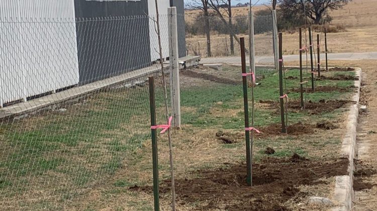 Forestaron el Centro de Desarrollo Infantil ‘Mañanitas Alegres’ de Renca 