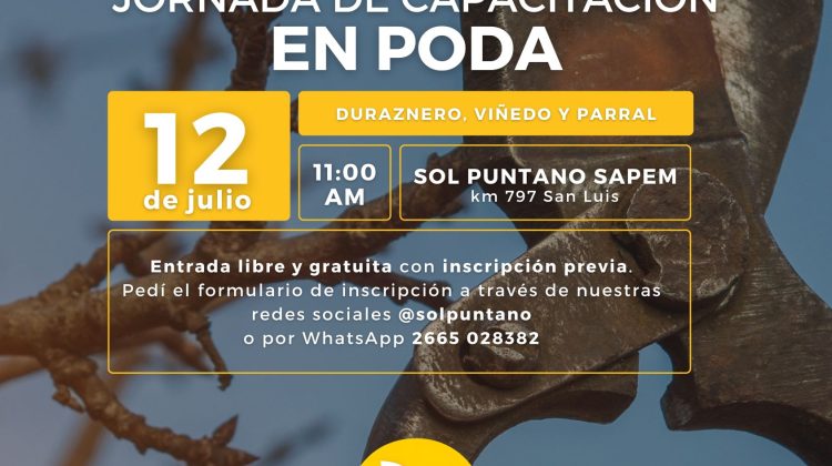 Sol Puntano organizará una capacitación gratuita de poda para productores y público en general