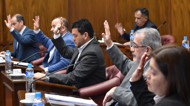 El Senado fijó fecha para las audiencias públicas de Endeiza y Cadelago Filippi