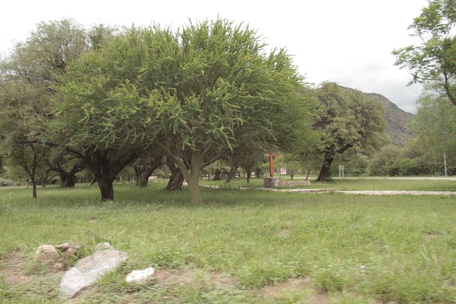 Sendero Los Abuelos, un refugio para descubrir biodiversidad y ecoturismo en Luján