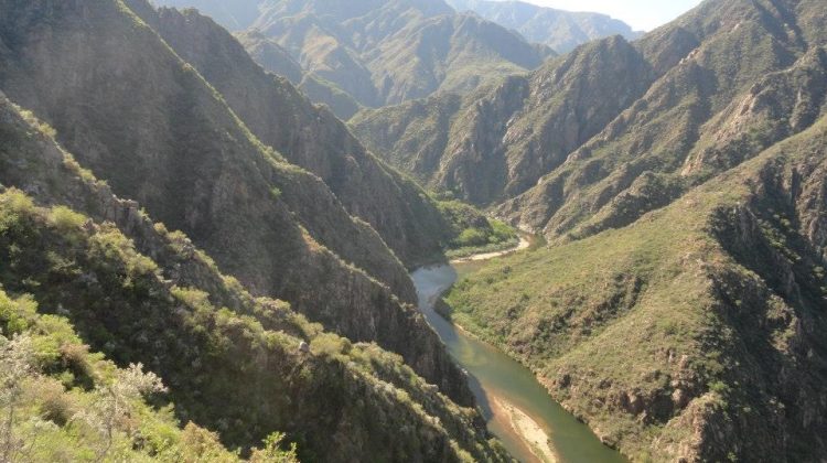 Sendero Los Abuelos, un refugio para descubrir biodiversidad y ecoturismo