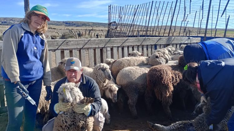 Desarrollo Productivo realizó un operativo de sanidad animal en parajes del norte