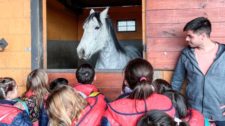 Alumnos del Instituto Santa Catalina visitaron la Escuela de Equinoterapia ‘Terrazas del Portezuelo’