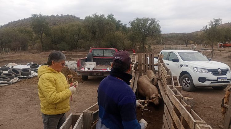 El ministerio de Desarrollo Productivo continúa con la asistencia a pequeños productores