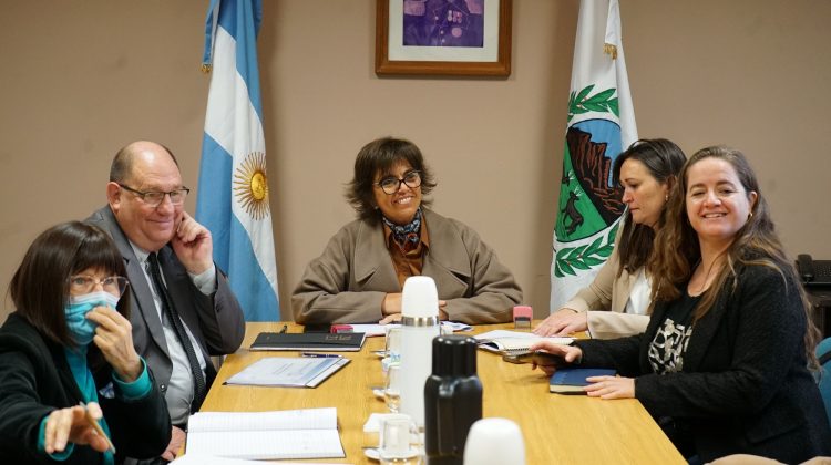 Bertolini explicó en Diputados el proyecto de Emergencia Habitacional
