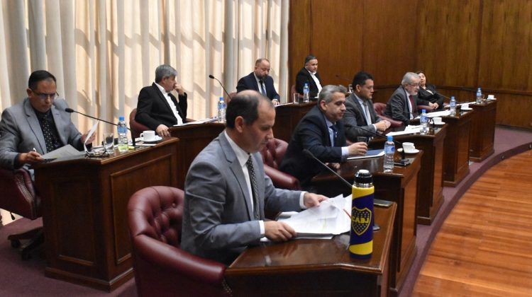 Dieron media sanción al proyecto que declara la Emergencia Habitacional en San Luis