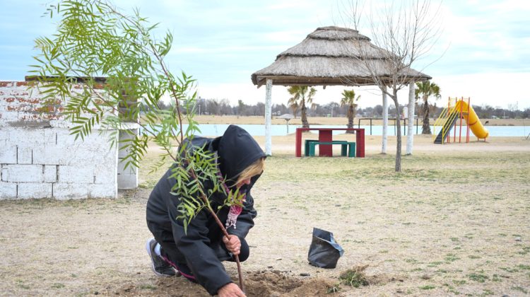 Con nuevas forestaciones, avanza la restauración ecológica en los Espejos de Agua
