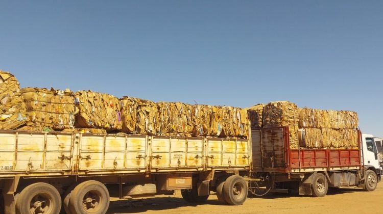 ‘El Jote’ reinsertó 19 toneladas de cartón al circuito industrial
