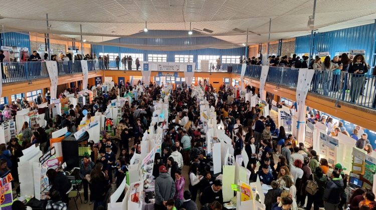 Son 169 los proyectos educativos que avanzaron a la instancia provincial