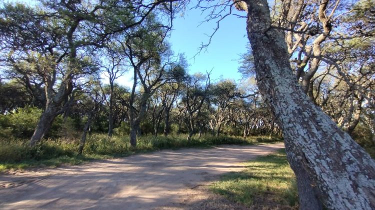La Provincia comenzará la actualización del Ordenamiento Territorial de Bosques Nativos
