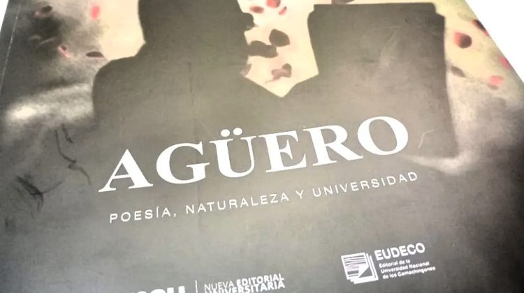Presentarán el libro ‘Agüero. Poesía, naturaleza y universidad’ en Villa de Merlo