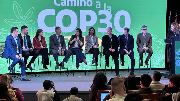 San Luis fortalece su acción federal en el Congreso Agenda Ambiental Latinoamericana Precop 30