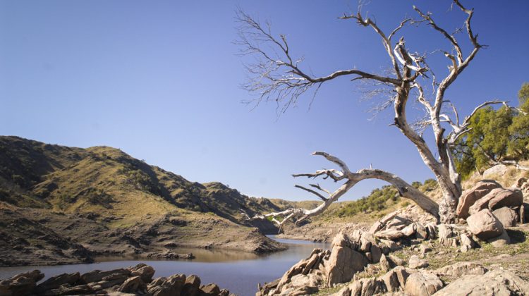 La semana comienza con dos días primaverales y algo de viento