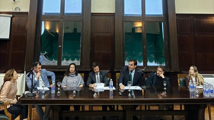 Destacaron el potencial de San Luis para desarrollar proyectos sobre energías alternativas