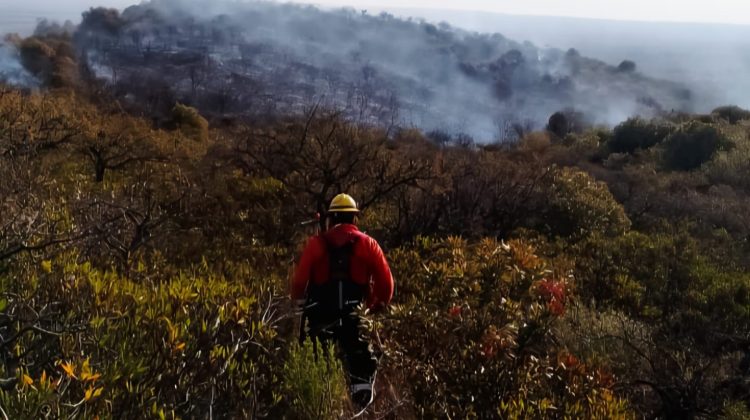 Un rápido accionar del COE permitió contener un incendio en Pasos Malos 