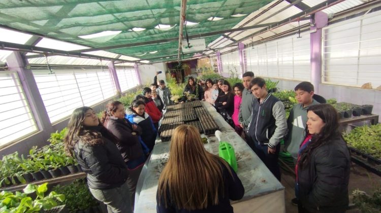 Alumnos de la escuela ‘Tobar García’ vivieron una jornada educativa en Cruz de Piedra