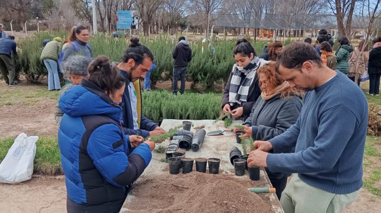 Más de 30 personas participaron de un taller de producción de esquejes de romero 