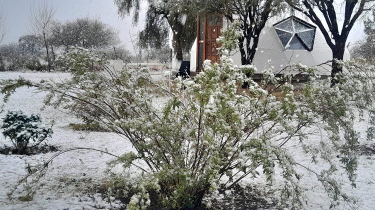 La tormenta de Santa Rosa dejó nieve, precipitaciones y vientos fuertes en la provincia