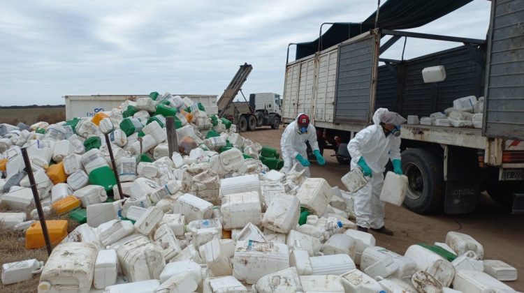 Reunieron más de 2.000 envases fitosanitarios en Arizona