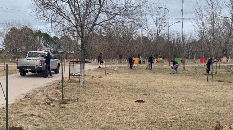 Reforestaron el balneario de Santa Rosa del Conlara
