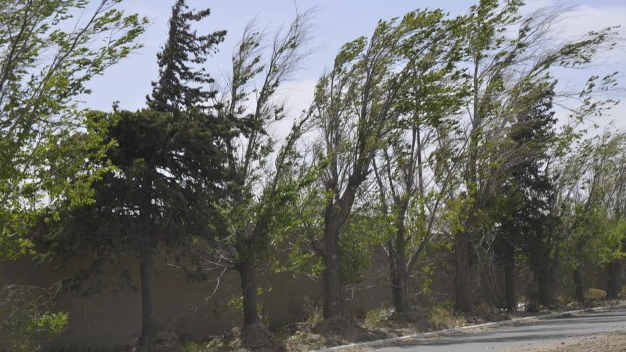 Pronostican un miércoles ventoso y con marcado descenso de temperatura