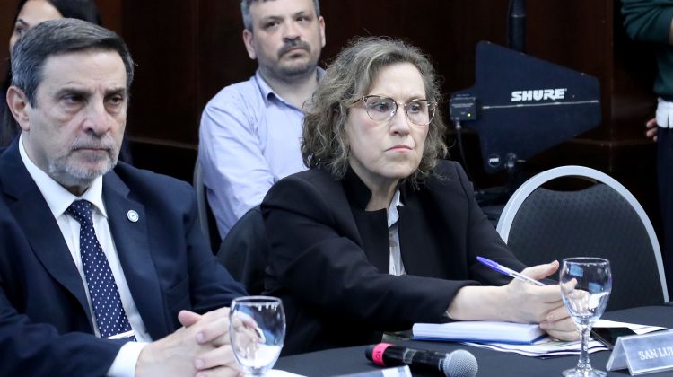 La ministra de Salud participó del encuentro CoFeSa en Buenos Aires