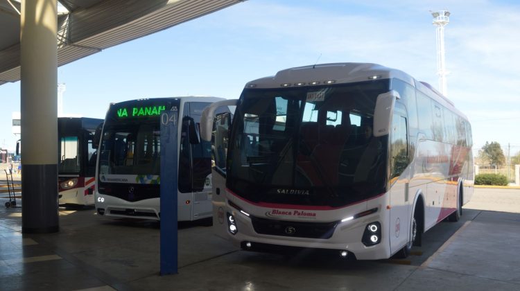 El transporte interurbano provincial incorporó unidades cero kilómetro