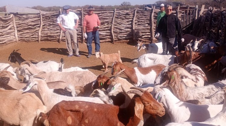 La Provincia brindó asistencia técnica y sanitaria a productores rurales