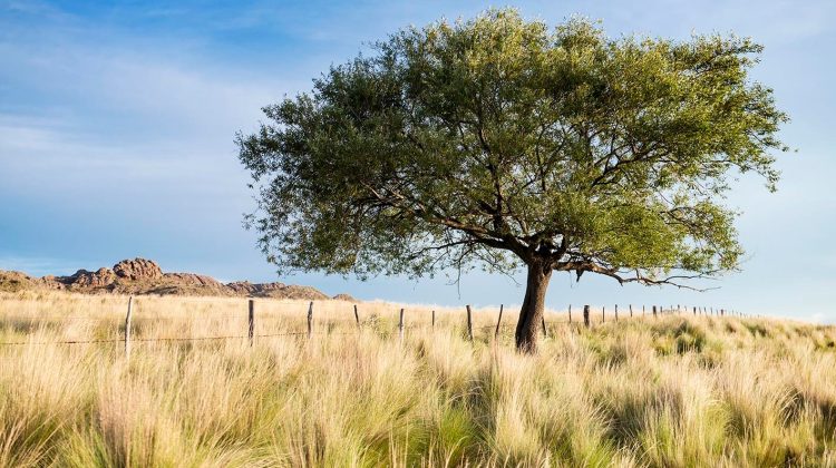 Valle de Pancanta: naturaleza, horizontes sin fin y aventura en el corazón de las sierras