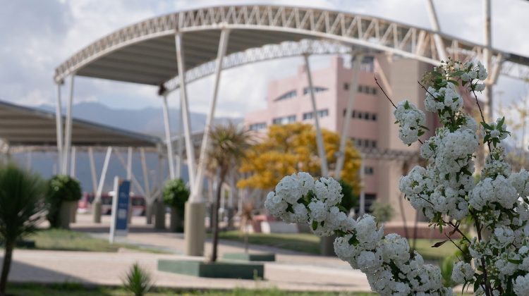 El 22 de septiembre llegará el equinoccio y comenzará la primavera