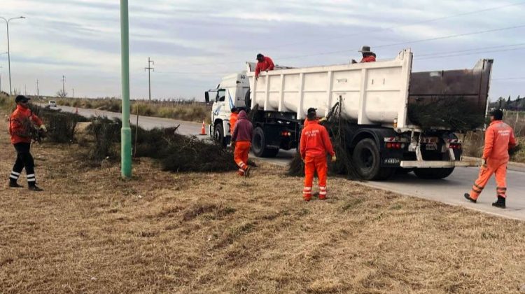 Trabajos de poda y limpieza mejoran la visibilidad en la autopista de las Serranías Puntanas