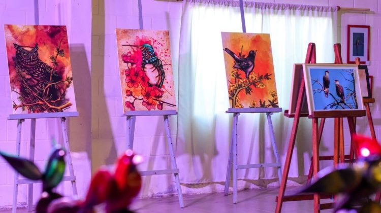 Invitan a recorrer la muestra ‘Vuelos Serranos’ en la Casa del Bicentenario