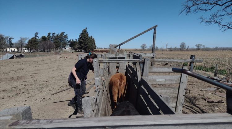 Realizaron un control sanitario y una capacitación en la zona rural de La Punilla