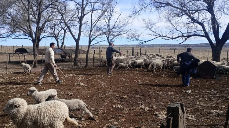 Continúa la Promoción Rural con asistencia a productores