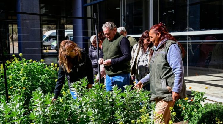 Dieron a conocer la agenda semanal de ‘Activa tu Huerta’