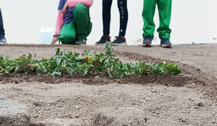 Estudiantes de La Punta presentaron un proyecto para captar CO2 con una roca de basalto