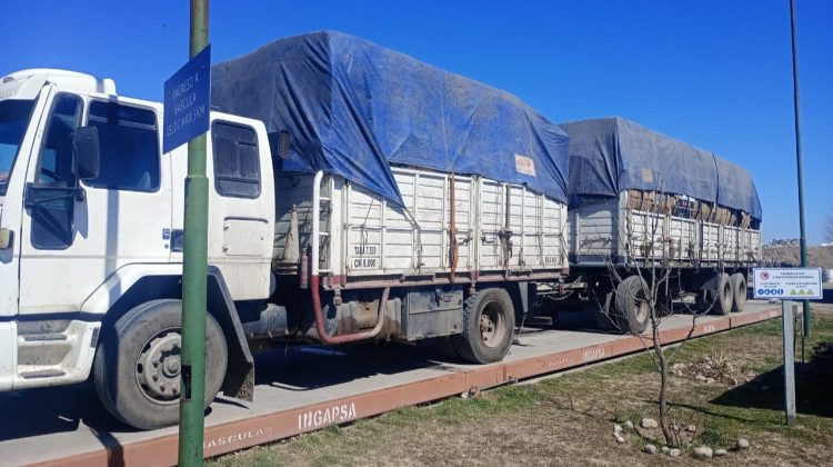 ‘Peuma’ reinsertó 24 toneladas de cartón al circuito industrial