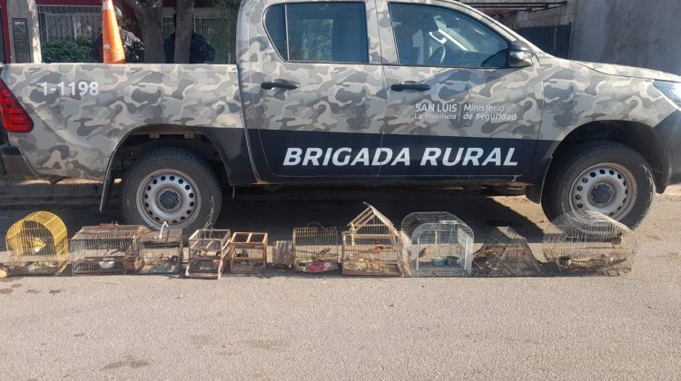 Ingresaron 19 ejemplares de aves nativas al Centro de Conservación de Vida Silvestre