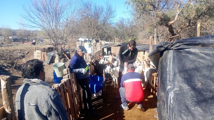 Llevaron a cabo un nuevo operativo de sanidad y acompañamiento a productores rurales