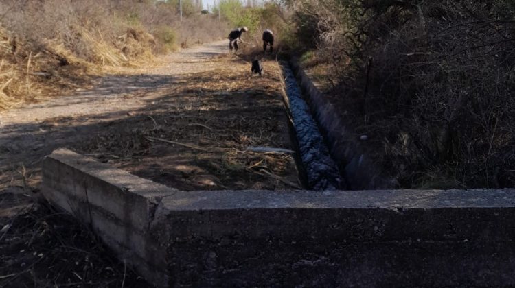 San Luis Agua realizó tareas de mantenimiento en el canal Las Chacras
