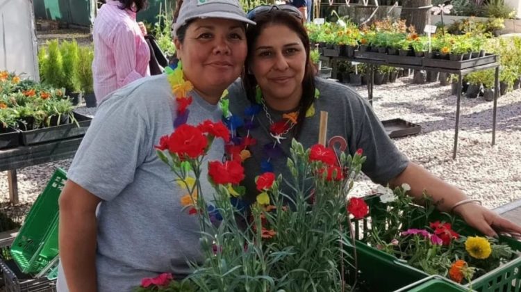 El vivero IMProFoP celebrará el Día de la Madre con sorteos en vivo